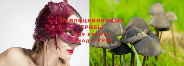 трава Аркадак