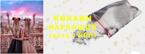 трава Аркадак