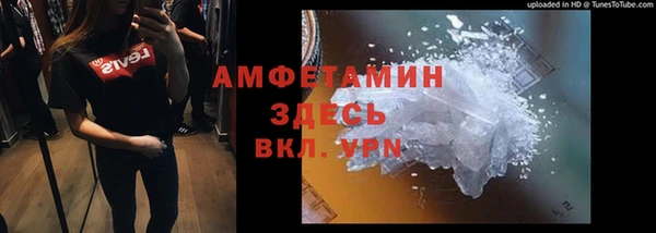 гидра Алексин