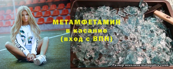 трава Аркадак