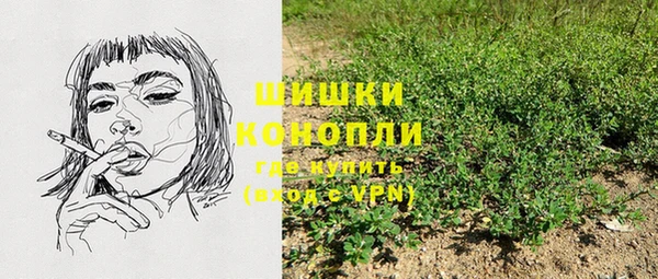 трава Аркадак