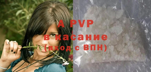 трава Аркадак