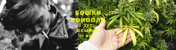 трава Аркадак